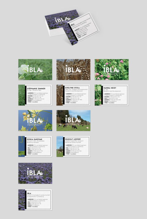 Ibla
