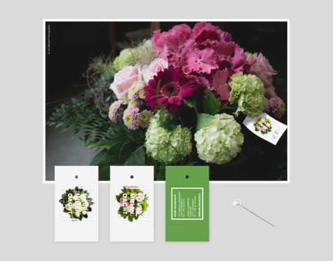 Fleurs millenoacht