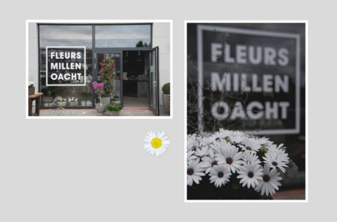 Fleurs millenoacht