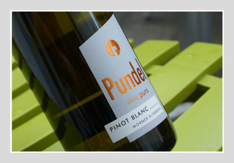 Pundel vins purs